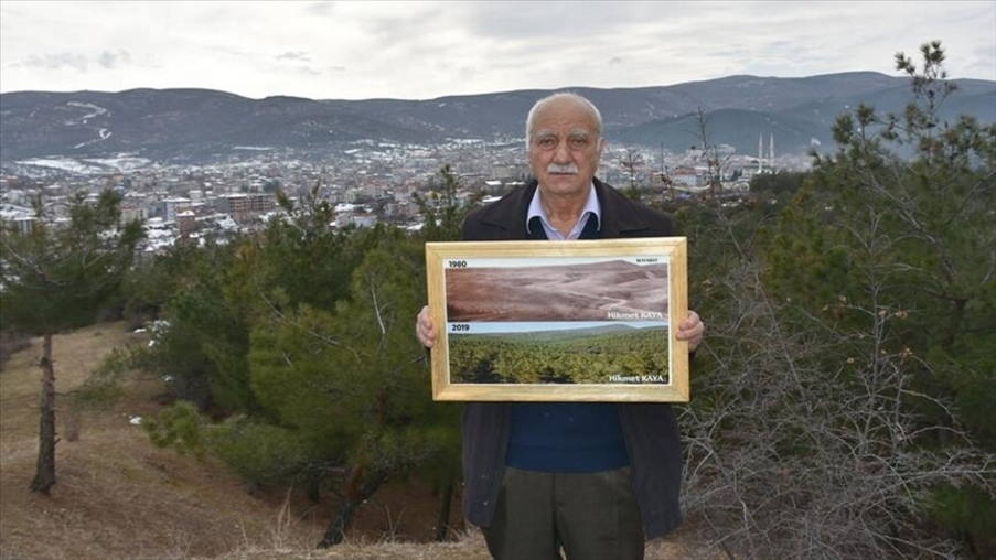Χικμέτ Καγιά, Τούρκος δασολόγος, δέντρα 