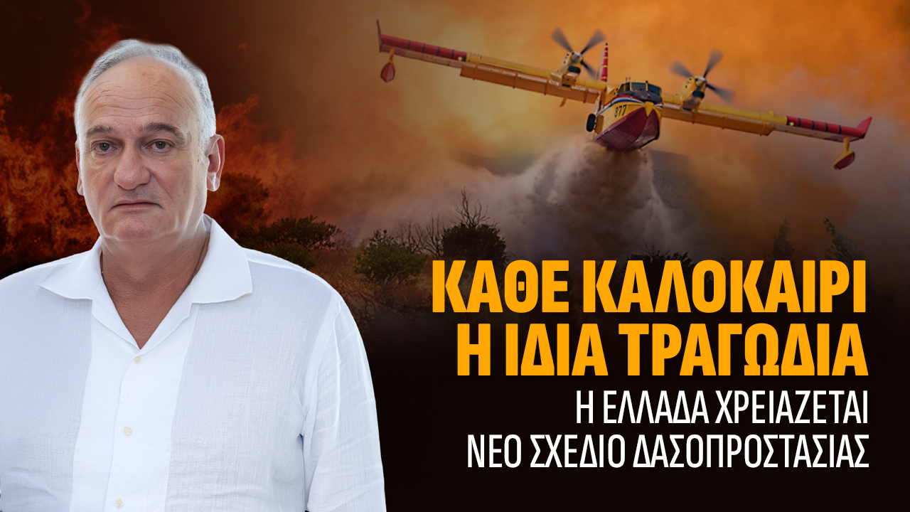 Η Ελλάδα καίγεται γιατί δεν απέκτησε ποτέ εθνική στρατηγική δασοπροστασίας, Βορύλλας Ανδρέας, πολιτική, πυρκαγιά