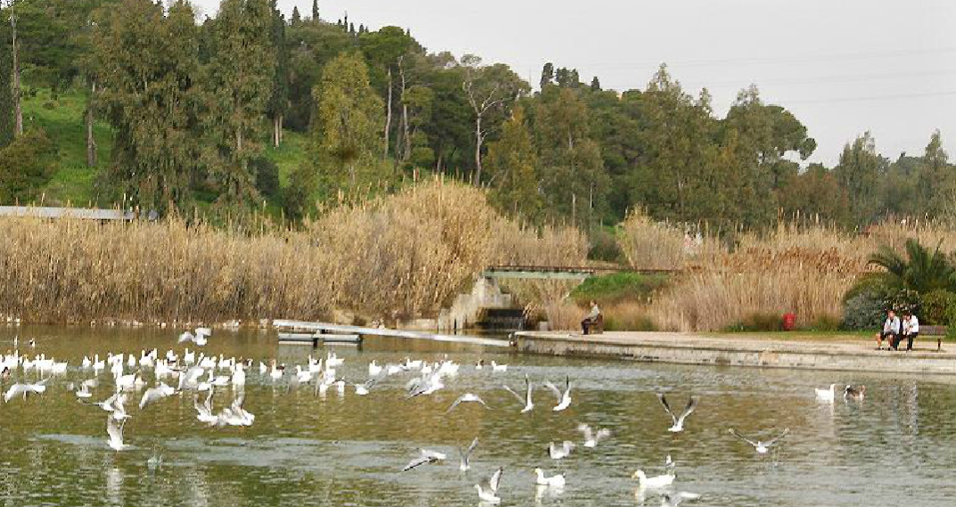 Πάρκο Τρίτση: Τι έχει γίνει μέχρι σήμερα