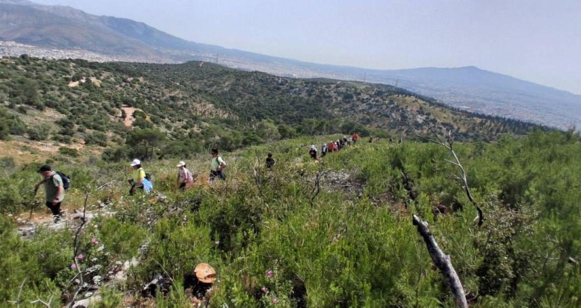 Πετυχημένη πεζοπορία «Γνωριμίας με το Ποικίλο Όρος» , Πετρούπολη