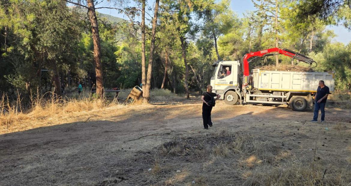 Δήμος Χαϊδαρίου - Εργασίες καθαρισμού στο Άλσος Δαφνίου