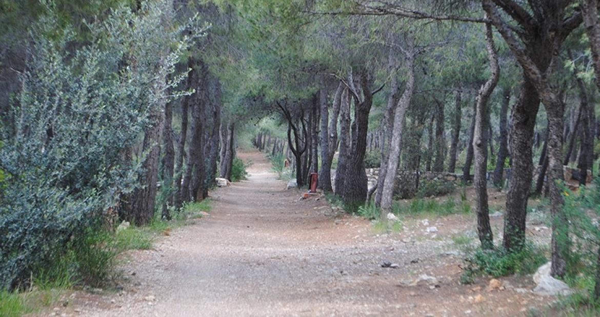Κλειστό την Τετάρτη (22/7) για το κοινό το άλσος Πετρούπολης, με απόφαση του Αντιπεριφερειάρχη