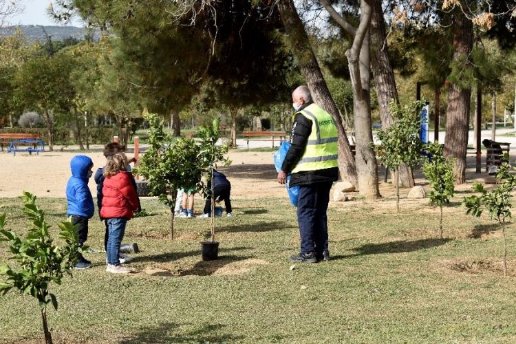 Φορέα Διαχείρισης, δενδροφύτευση, πάρκα Τρίτση