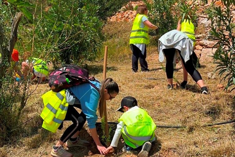 Εθελοντική δράση δενδροφύτευσης στο Χαϊδάρι