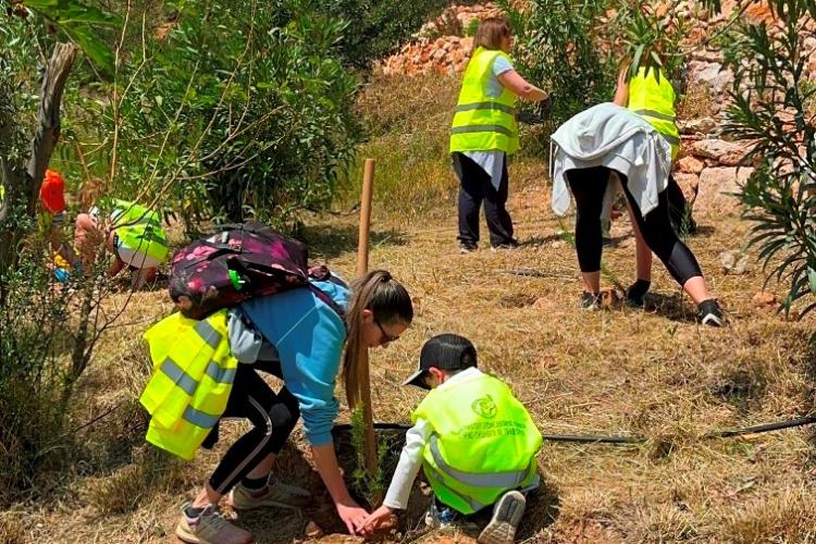 Εθελοντική δράση δενδροφύτευσης στο Χαϊδάρι 