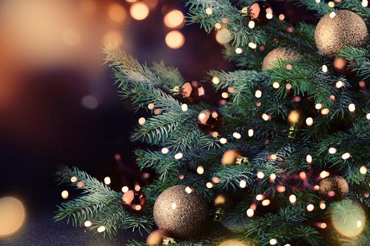 Το χριστουγεννιάτικο μήνυμα του Μητροπολίτη Περιστερίου 