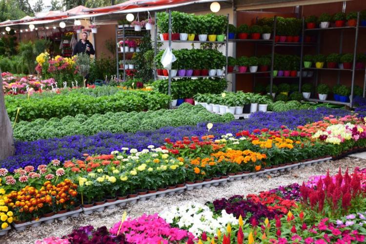 Η αγαπημένη έκθεση «Φυτά και Κήπος» και φέτος στο Άλσος Περιστερίου