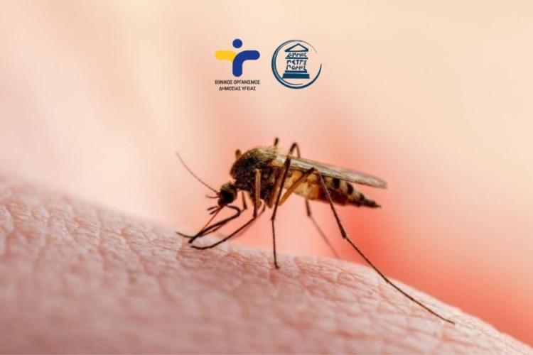Ενημέρωση σχετικά με επιβεβαιωμένο κρούσμα ιού του Δυτικού Νείλου και μέτρα πρόληψης και προστασίας στον Δήμο Πετρούπολης