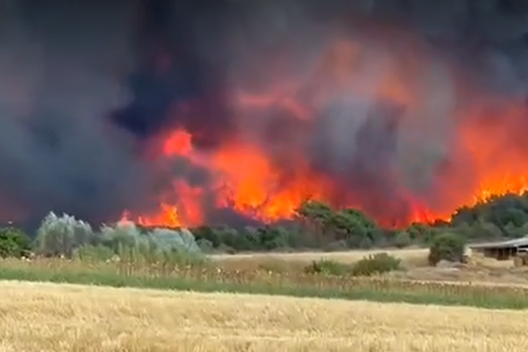 Η φωτιά συνεχίζει να κατακαίει τον Έβρο