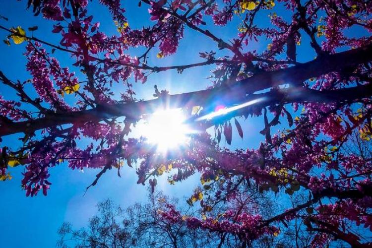 καιρός, αστεροσκοπείο, meteo