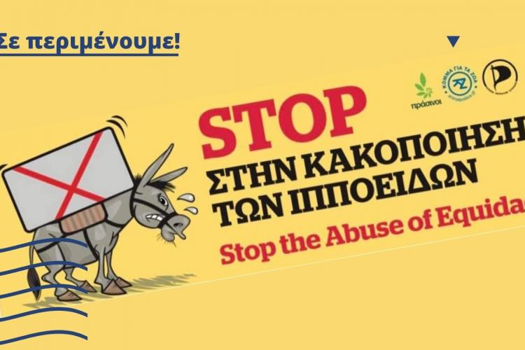  Διαμαρτυρίες, εκμετάλλευση των ιπποειδών σε Ύδρα και Ρόδο, κόμμα για τα ζώα 