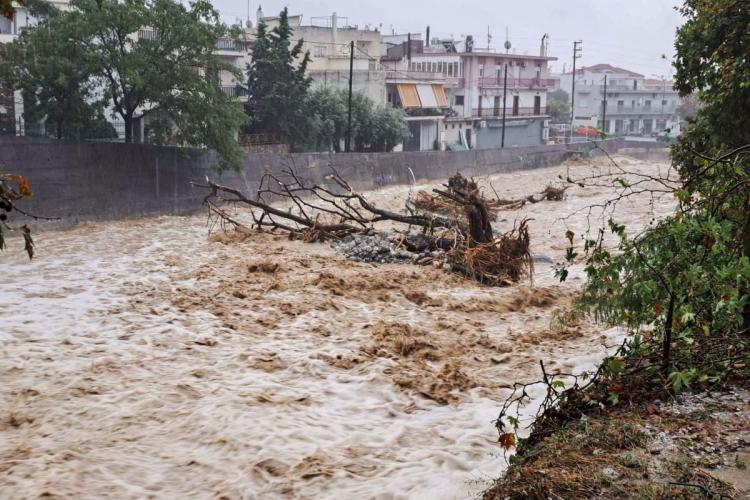 Πυροτεχνήματα Χαρδαλιά για τις πλημμύρες όταν επί 22 μήνες δεν καθάρισαν ρέμα!