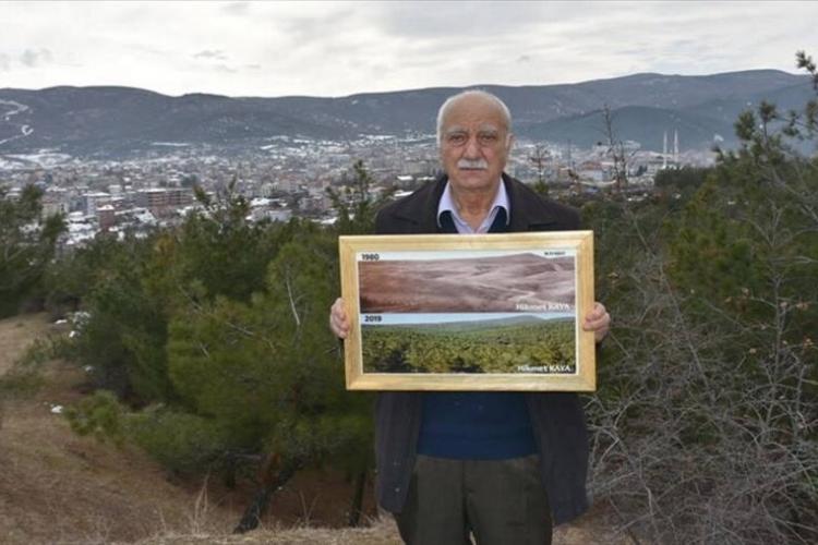 Χικμέτ Καγιά, Τούρκος δασολόγος, δέντρα