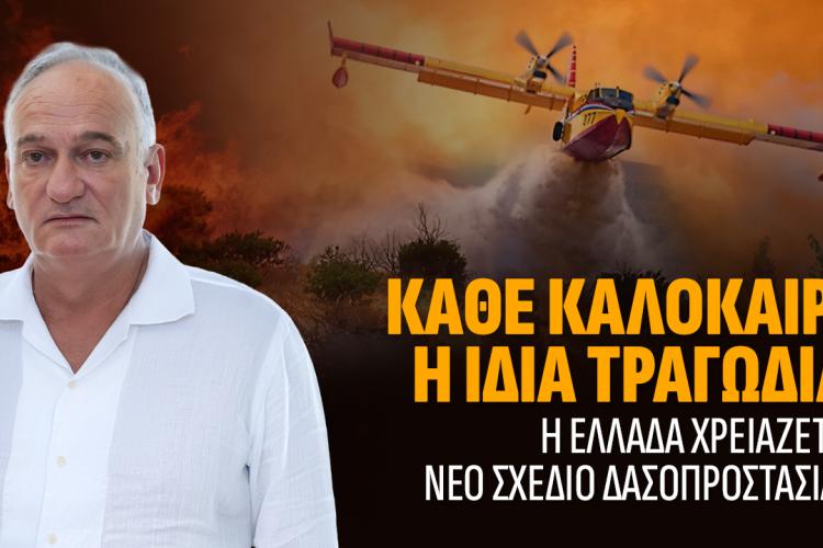 Η Ελλάδα καίγεται γιατί δεν απέκτησε ποτέ εθνική στρατηγική δασοπροστασίας, Βορύλλας Ανδρέας, πολιτική, πυρκαγιά