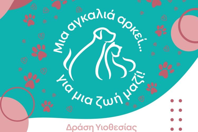 Δράση Υιοθεσίας Αδέσποτων Ζώων στο πλαίσιο της Πολιτιστικής Διαδρομής 2026, Αιγάλεω