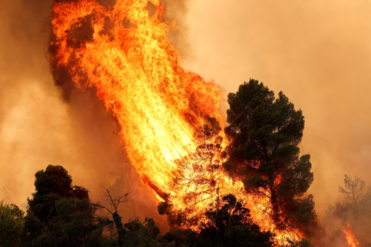 Συνεχίζεται η πύρινη κόλαση στη Δυτική Αττική: Καίγονται τώρα Ψάθα και Λούμπα