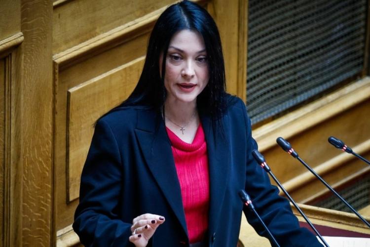 Νάντια Γιαννακοπούλου: «Μόνο σε Κούβα και Β. Κορέα δεν επιτρέπονται ιδιωτικά ΑΕΙ», ΠΑΣΟΚ, εκλογές, δυτική Αθήνα,