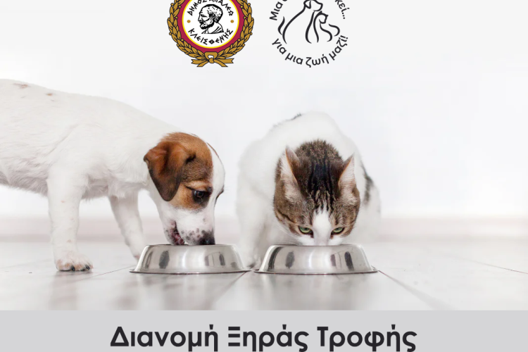 Ο Δήμος Αιγάλεω προσφέρει τροφή για τα αδέσποτα ζώα της πόλης