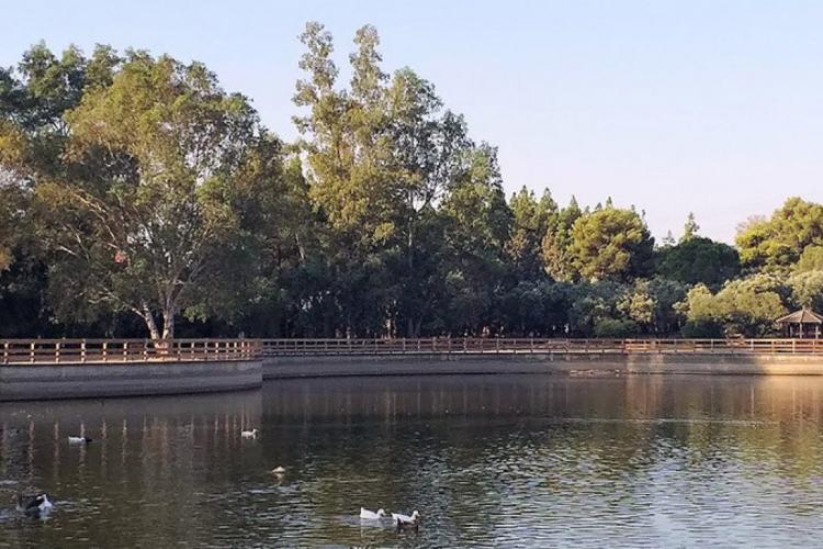 Πρωτομαγιά με την Περιφέρεια Αττικής στο Μητροπολιτικό Πάρκο Αντώνης Τρίτσης