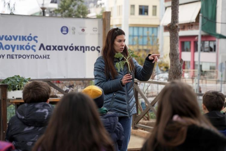 Πετρούπολη: Πάνω από 40 οικογένειες σιτίζονται με βιολογικά προϊόντα από τον κοινωνικό λαχανόκηπο 