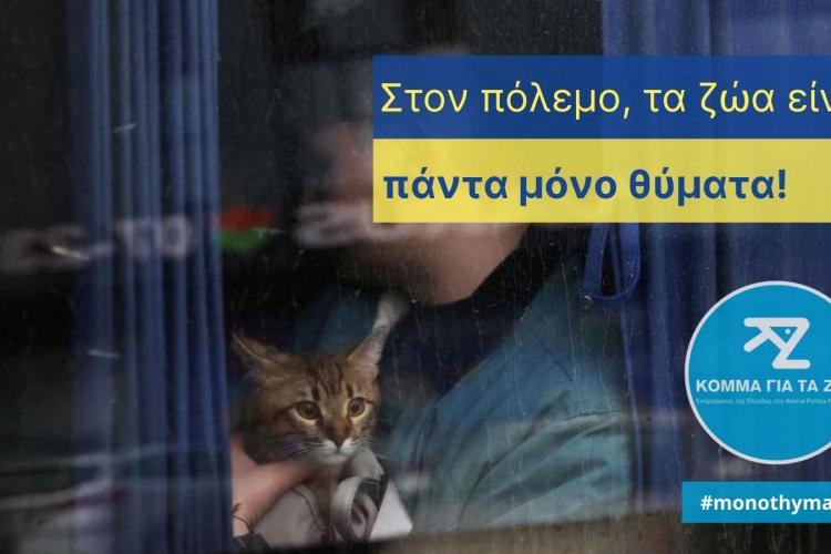 Κόμμα για τα Ζώα, πόλεμος, Ουκρανία