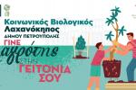 Εργαστήρια Αστικής Καλλιέργειας στον «Κοινωνικό Βιολογικό Λαχανόκηπο» του Δήμου Πετρούπολης
