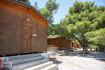 Ποιες επιλογές υπάρχουν για δωρεάν παιδικές κατασκηνώσεις 