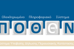 Τα Πόθεν Έσχες των πολιτικών αρχηγών 