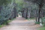 Κλειστό την Τετάρτη (22/7) για το κοινό το άλσος Πετρούπολης, με απόφαση του Αντιπεριφερειάρχη