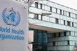 Παγκόσμιος Οργανισμός Υγείας: Προειδοποίηση για μόνιμο αντίκτυπο από την πείνα σε μια ολόκληρη γενιά κατοίκων της Γάζας